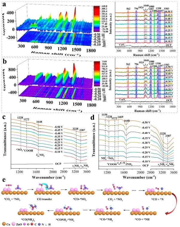 催化顶刊集锦：JACS、Nature子刊、Angew.、AFM、Adv. Sci.、ACS Catal.等成果