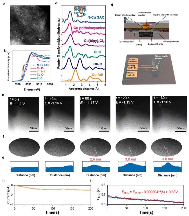 八篇顶刊速递：Nature子刊、Angew.、JACS、AM、AFM、ACS Catalysis等！