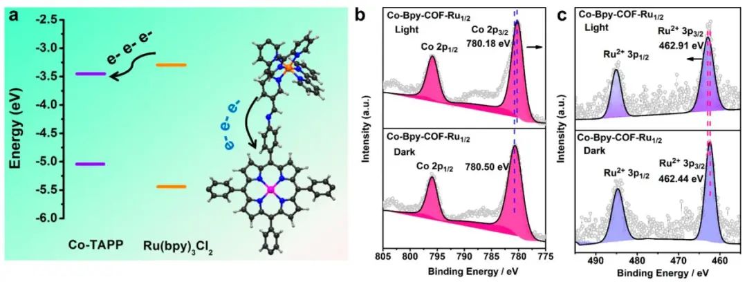 福建物构所黄远标/曹荣JACS：Co-卟啉基共价有机骨架光电还原CO2