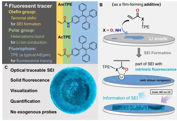 小荧光大作用！清华大学何向明/杨洋/危岩AM：利用荧光示踪剂实现SEI跟踪！
