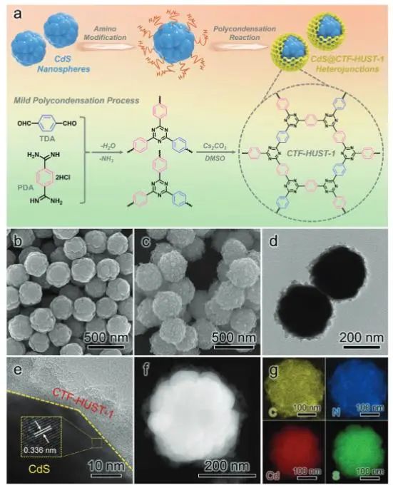 催化顶刊集锦：JACS、Nature子刊、Angew.、ACS Catal.、AFM、ACS Nano等成果