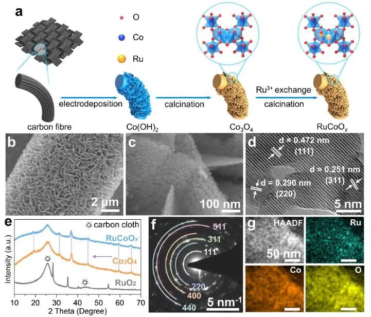 催化顶刊集锦：Nature子刊、JACS、EES、Angew.、AFM、ACS Catal.等