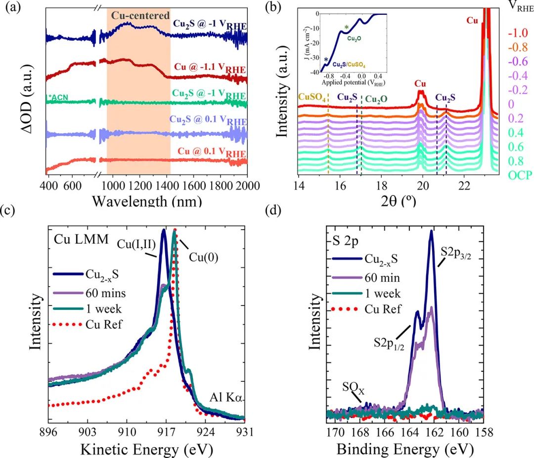 催化顶刊合集：AM、JACS、Angew.、ACS Energy Letters、ACS Catalysis、CEJ等成果！