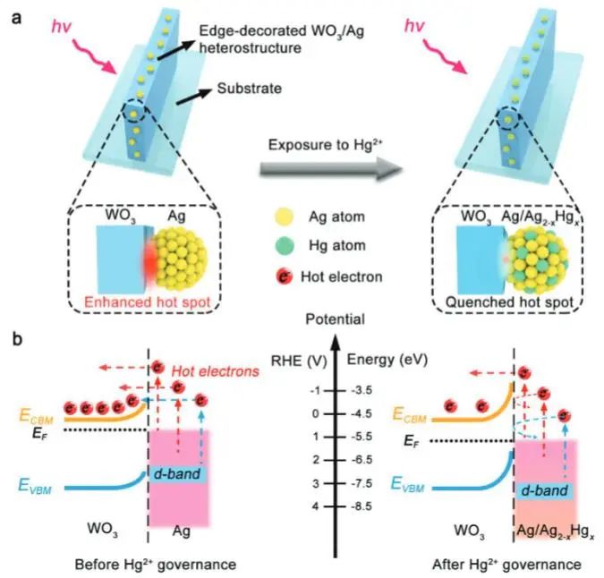 催化顶刊集锦：JACS、Nature子刊、Angew.、AFM、Adv. Sci.、ACS Catal.等成果