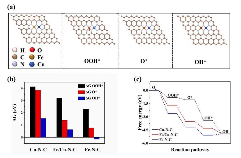 ​中南/湖南师大Carbon：原位生长的碳纳米管连接 Fe/Cu-NC 多面体用于锌空电池