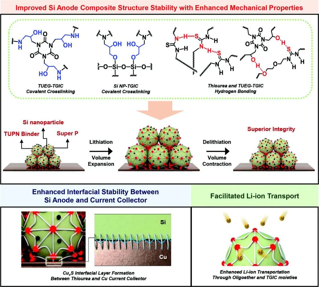 ​Adv. Sci.：一种用于高性能硅负极的多功能原位共价氢键互锁粘结剂