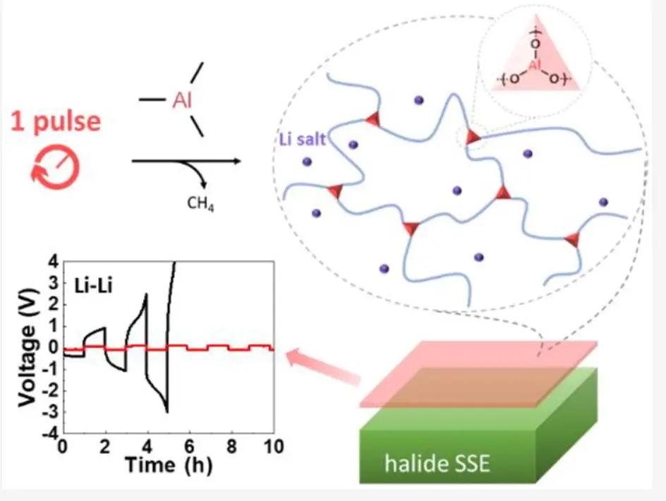 ​孙学良/王建涛ACS Energy Letters：快速原位交联聚环氧丁烷电解质界面实现卤化物基全固态锂金属电池