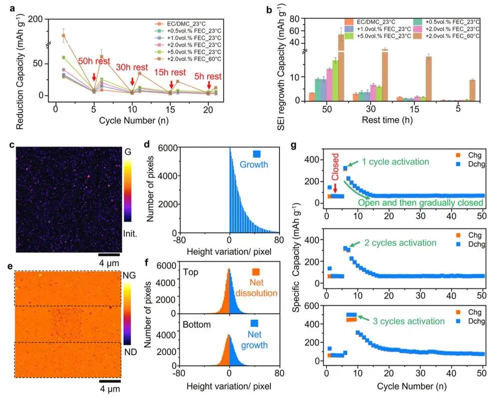 四单位联合​JACS：固体电解质界面的选择性离子传输