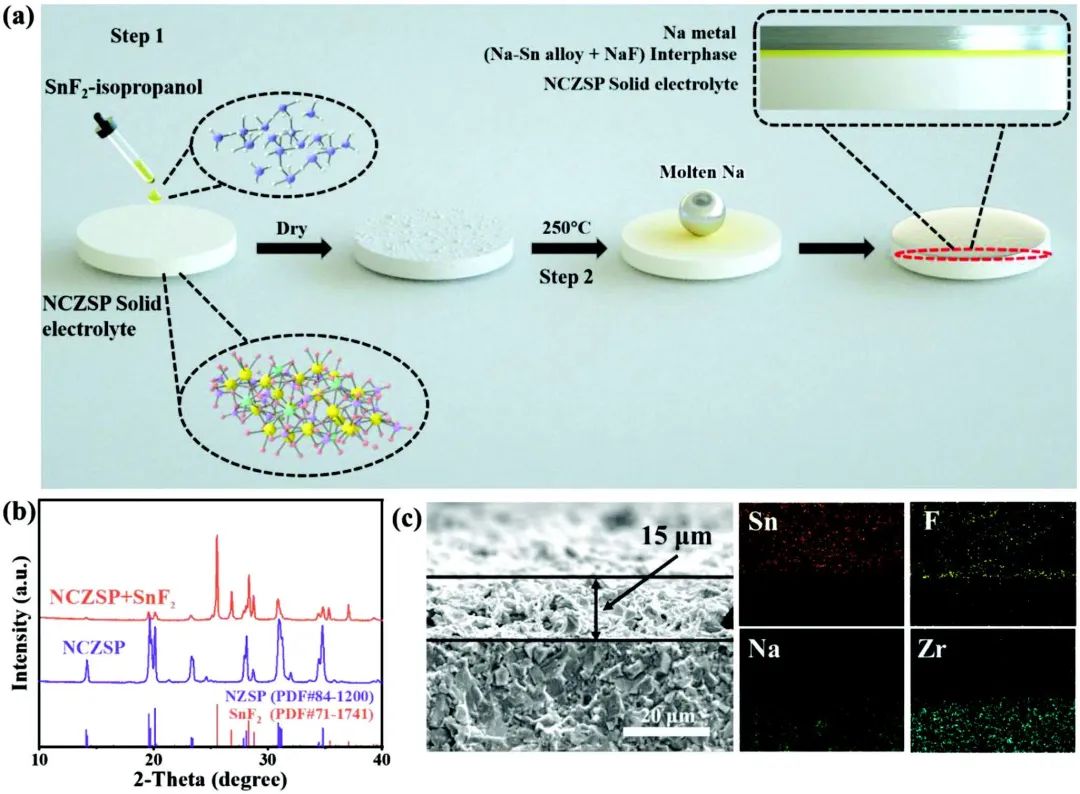 周震/唐宾AFM：SnF2诱导复合导电层，助力低阻抗固态钠电池