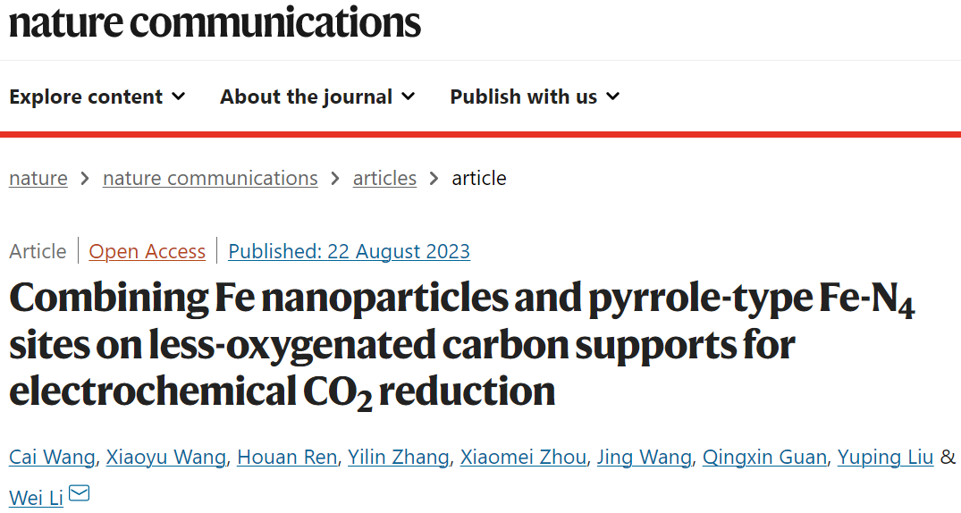 南开大学李伟教授Nature子刊：Fe-poN-C/Fe助力电化学CO2还原