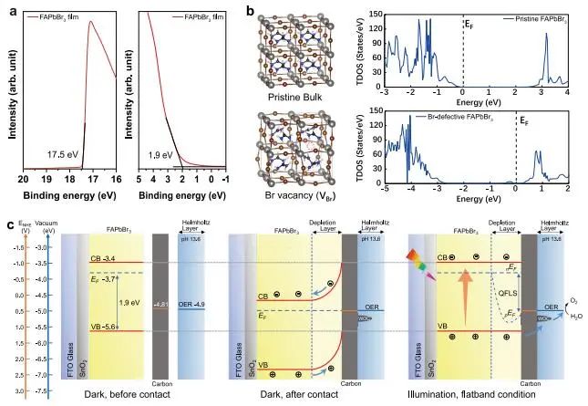 催化顶刊集锦：JACS、Nature子刊、Angew.、ACS Catal.、AFM、ACS Nano等成果