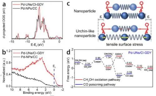 ​催化顶刊集锦：Nature Energy、JACS、Angew.、Nature子刊、AM、AFM、ACS Catal.等