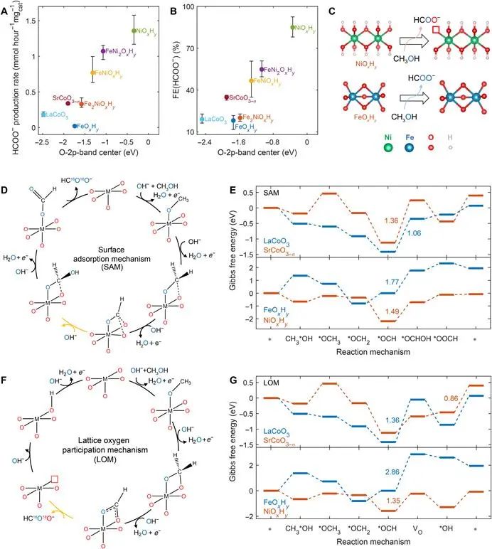 徐梽川教授，最新Science子刊！