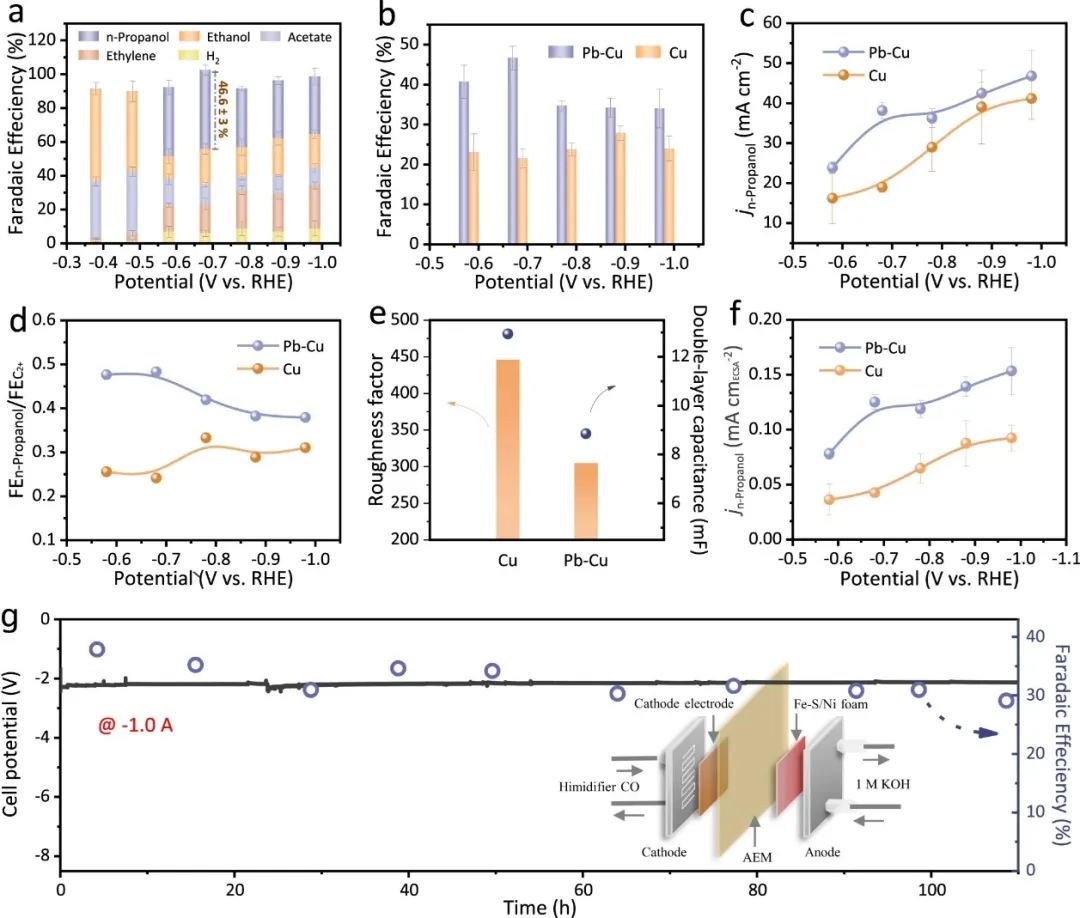 催化顶刊合集：Nature子刊、EES、AM、CEJ、ACB、ACS Catalysis等成果！