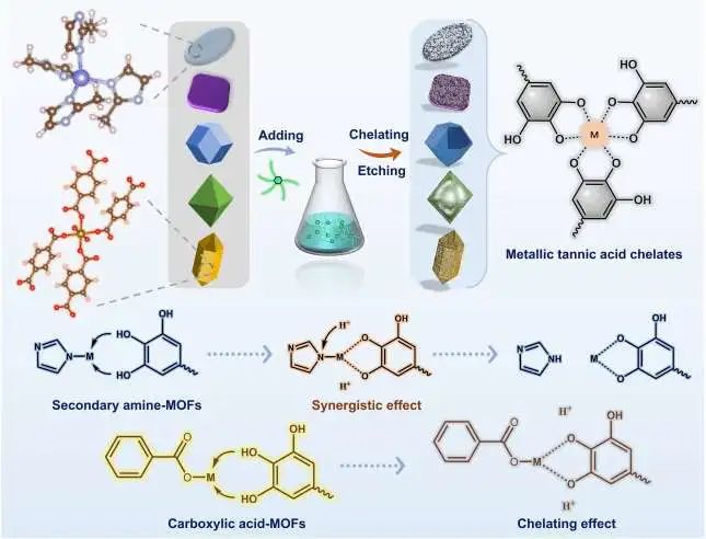庞欢最新Angew.：单宁酸刻蚀MOF有奇效！