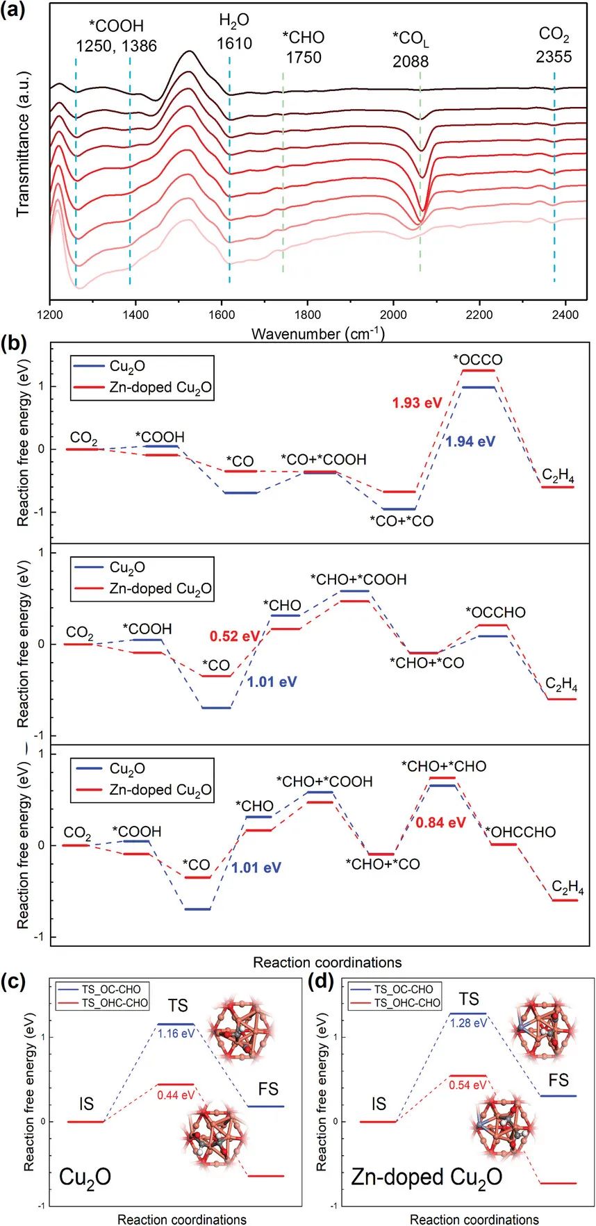 催化顶刊集锦：Angew.、AFM、Adv. Sci.、ACS Energy Lett.、ACS Catal.、CEJ等！