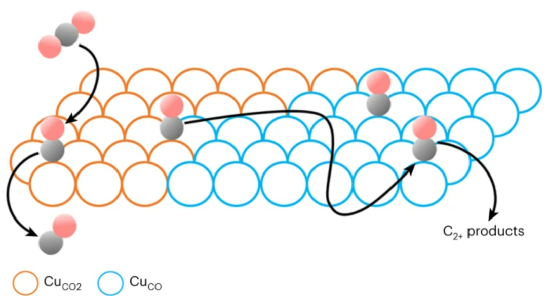 北京大学徐冰君团队，最新Nature Catalysis！