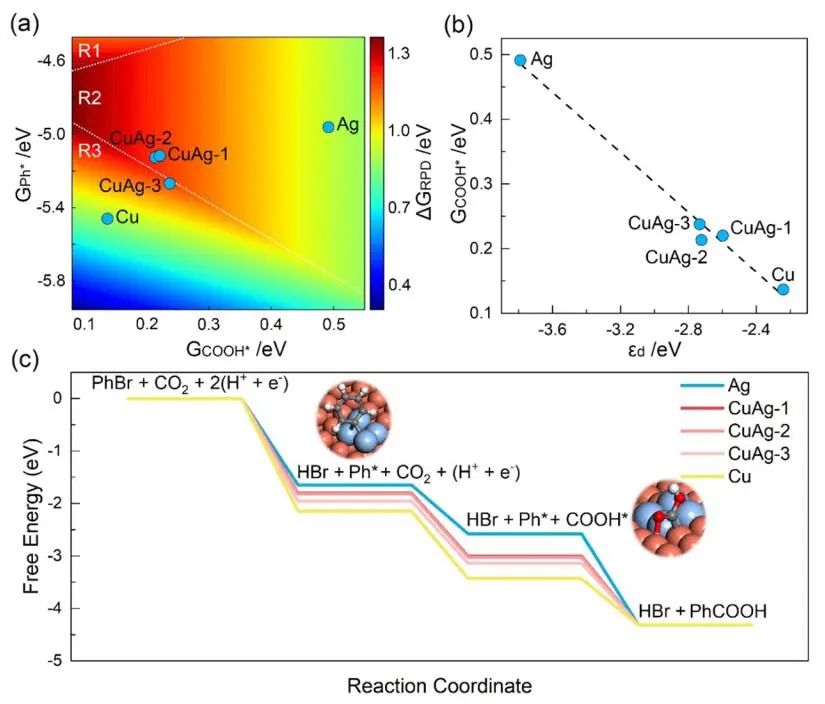 大连化物所ACS Catalysis：双功能CuAg电催化剂助力芳基溴对羧酸的CO2固定