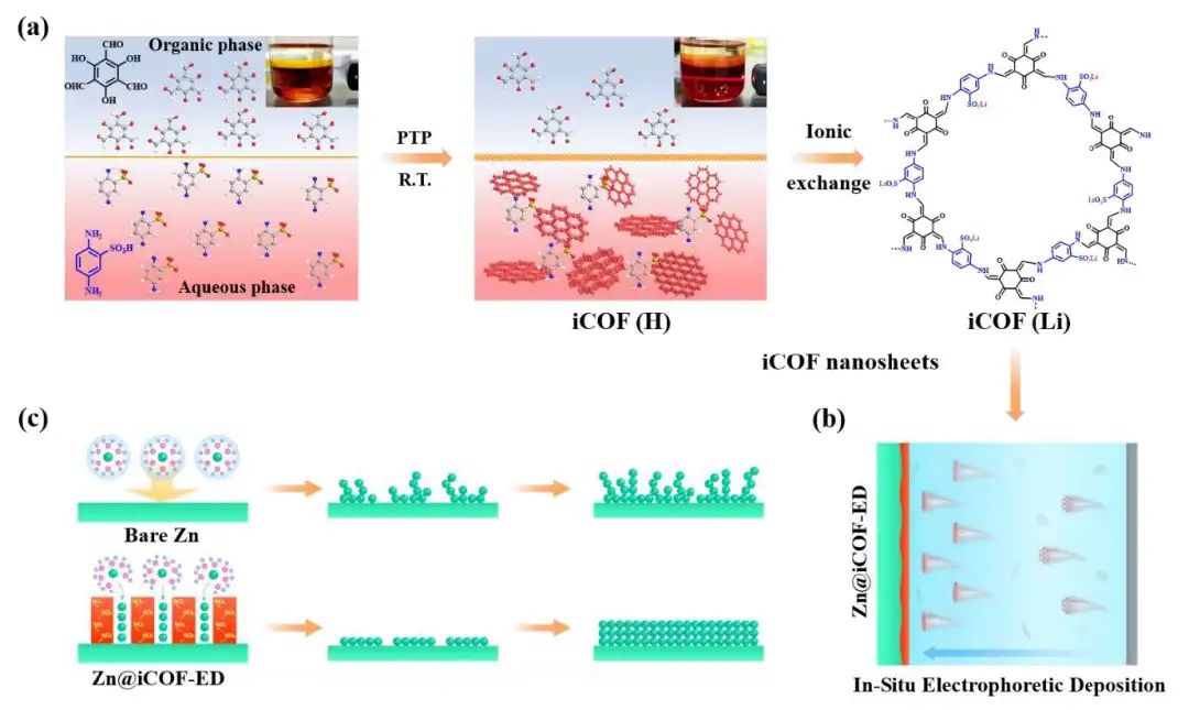 ​陈忠伟/王新/程博闻Nano Energy：原位电泳沉积法构建COF人工SEI，稳定锌金属负极