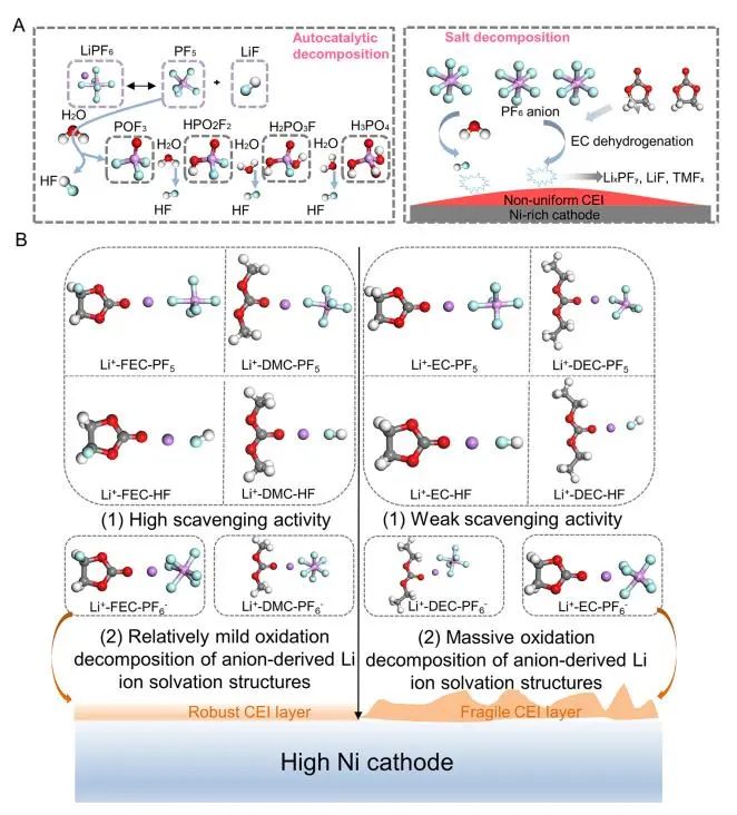 ​天大孙洁团队Nano Letters：自清洁首层溶剂化鞘层用于稳定高镍正极电极电解质界面