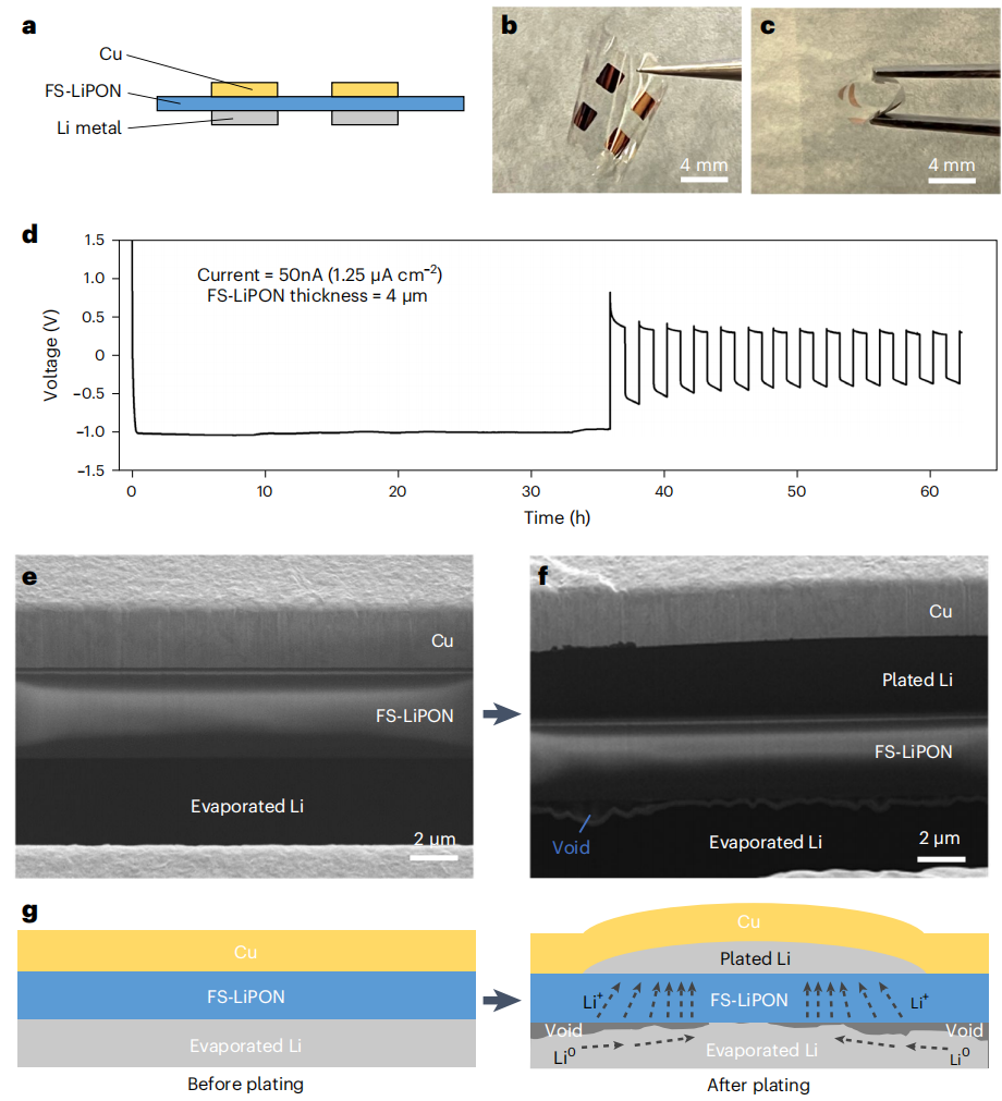 孟颖教授团队，重磅Nature Nanotechnology！