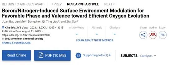 梅俊/廖婷/孙子其ACS Catalysis：硼/氮诱导的表面环境调节有利于实现高效析氧