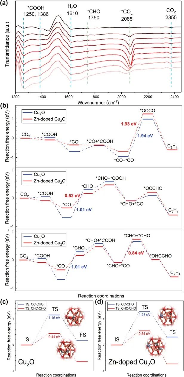 ​范科/孙立成Adv. Sci.：Cu2O-Zn高效电化学还原CO2为C2+产物