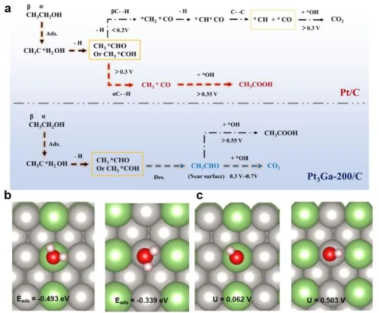 厦大JACS：Ga改变Pt-Ga/C近表面组成，促进乙醇通过C2路径高效电化学氧化