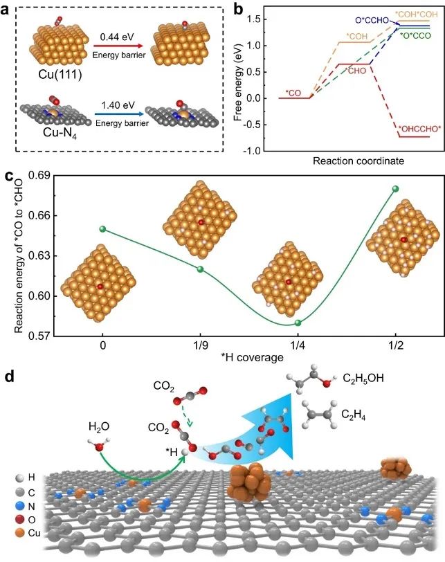 韩布兴院士等一周两篇顶刊！连发JACS、Nature子刊！