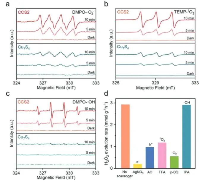 ​乔世璋/冉景润AFM：等离激元能量上转换立大功，有效强化Cu7S4/MxSy Janus原子结多功能光催化