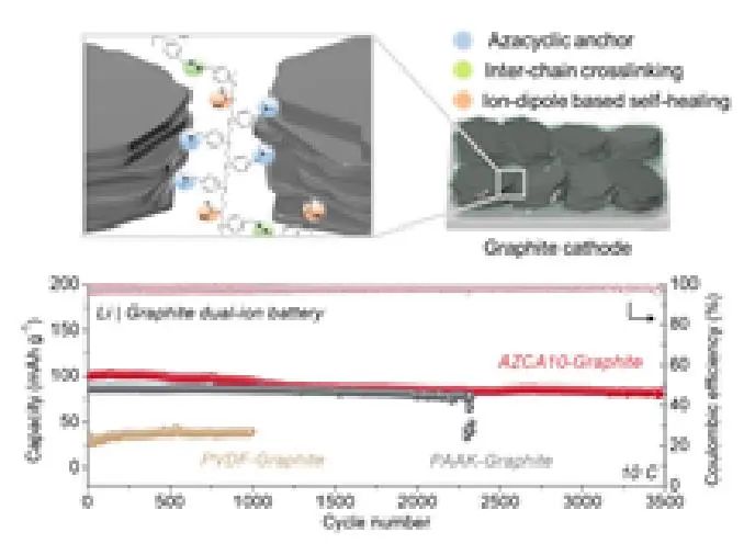 AFM：氮杂环锚定粘性石墨电极用于可持续阴离子存储