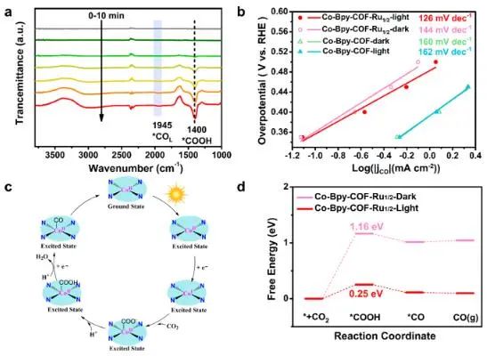 催化顶刊集锦：JACS、Nature子刊、Chem、AFM、ACS Catalysis、ACS Nano等成果