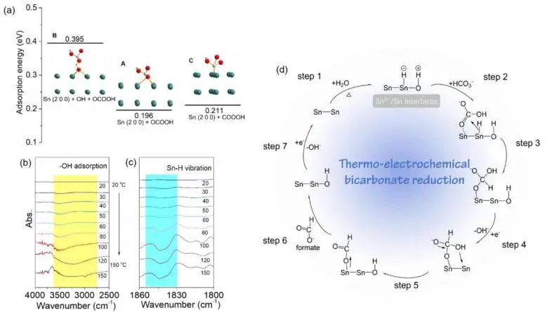 催化顶刊集锦：JACS、Nature子刊、Chem、AFM、ACS Catalysis、ACS Nano等成果