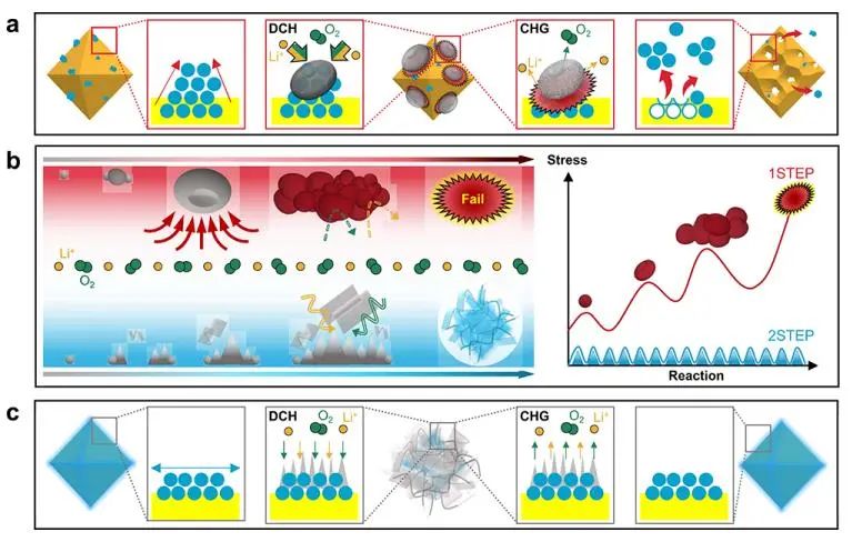 JACS：多相催化剂作为控制氧燃料可充电电池中电化学沉淀物形状的功能基质