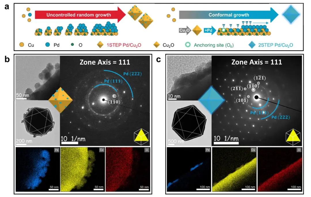 JACS：多相催化剂作为控制氧燃料可充电电池中电化学沉淀物形状的功能基质