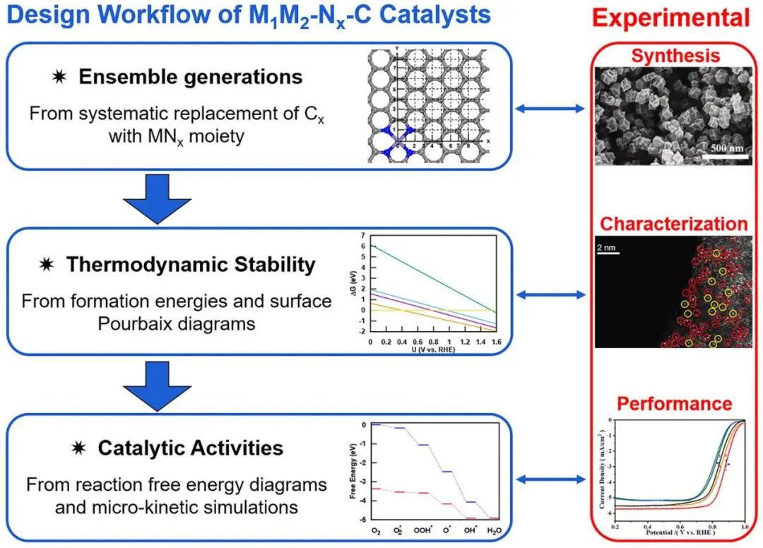 纯计算ACS Catalysis：氧还原反应双金属位催化剂的理论计算研究