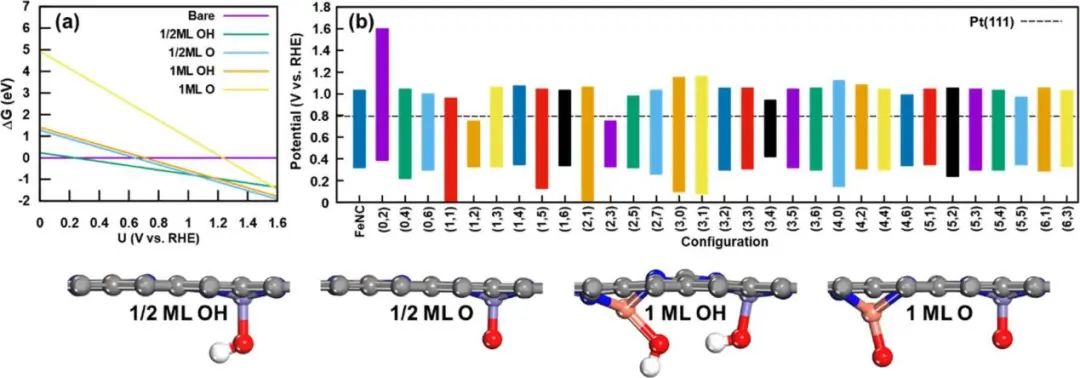 纯计算ACS Catalysis：氧还原反应双金属位催化剂的理论计算研究