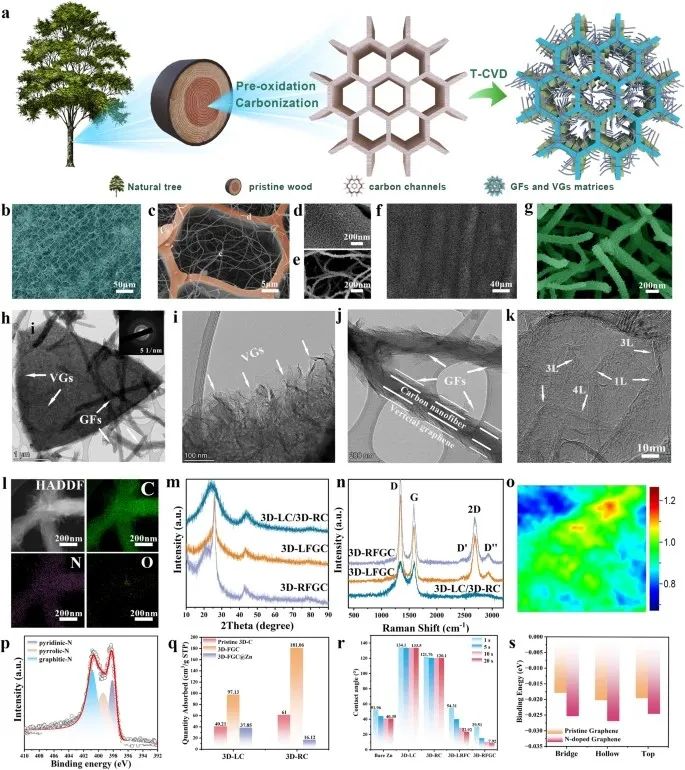 赵天寿院士团队最新Nature子刊！锌离子电池-锌阳极-三维分层结构