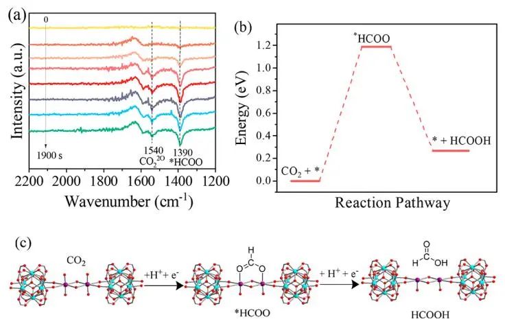 中山大学廖培钦JACS：瓶中载船！NU-1000-Sn酸性电还原CO2