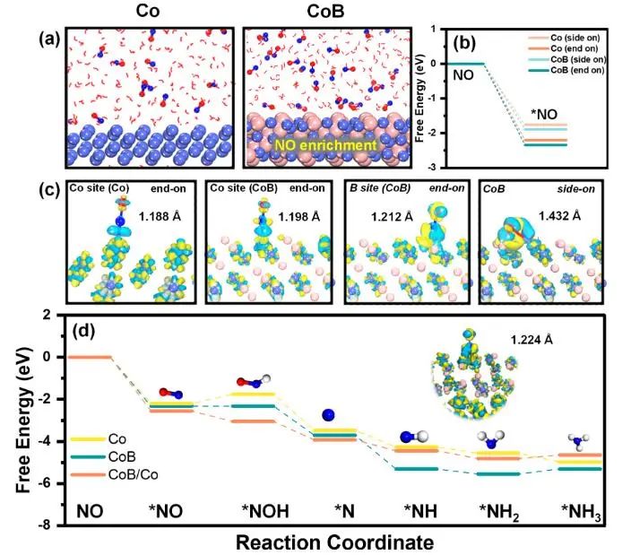 催化顶刊集锦：JACS、Angew.、Joule、AM、AFM、ACS Catal.、Nano Lett.等