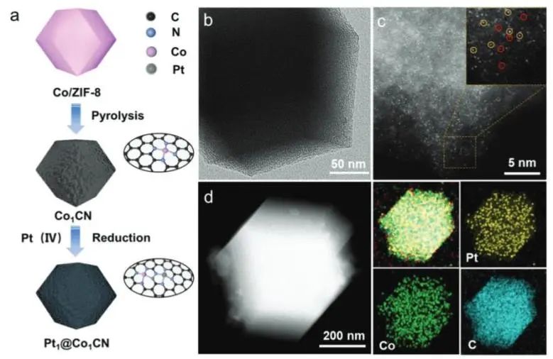 催化顶刊速递：JACS、Nature子刊、Angew.、AFM、ACS Catalysis、Nano Lett.等成果