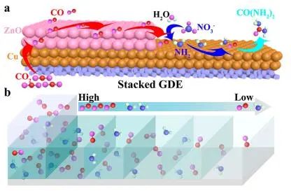 催化顶刊集锦：JACS、Nature子刊、Angew.、AFM、Adv. Sci.、ACS Catal.等成果