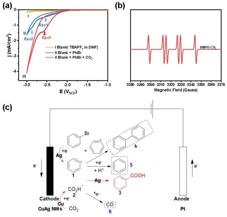 大连化物所ACS Catalysis：双功能CuAg电催化剂助力芳基溴对羧酸的CO2固定