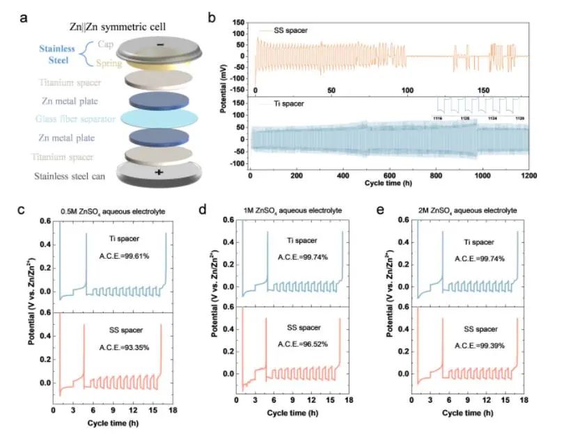周豪慎/杨慧军EES：不锈钢纽扣电池在水系锌电池研究中的陷阱
