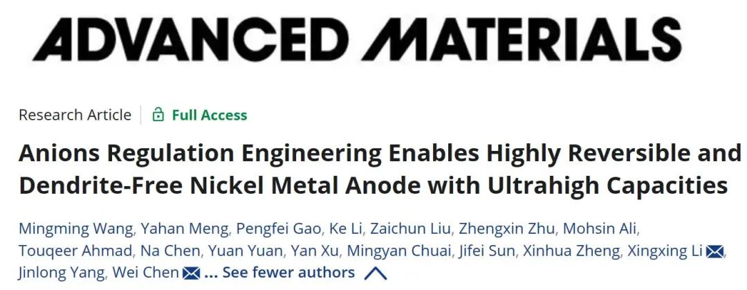 陈维/杨金龙/李星星AM：超高面容量、高度可逆且无枝晶的水系镍金属负极