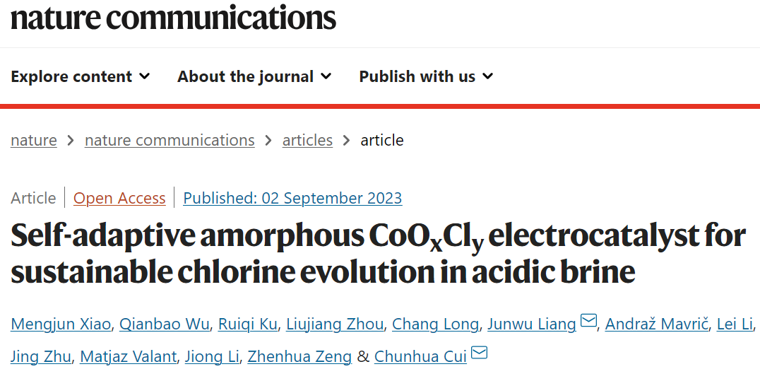 ​电子科大Nature子刊：CoOxCly电催化剂助力酸性盐水中可持续析氯