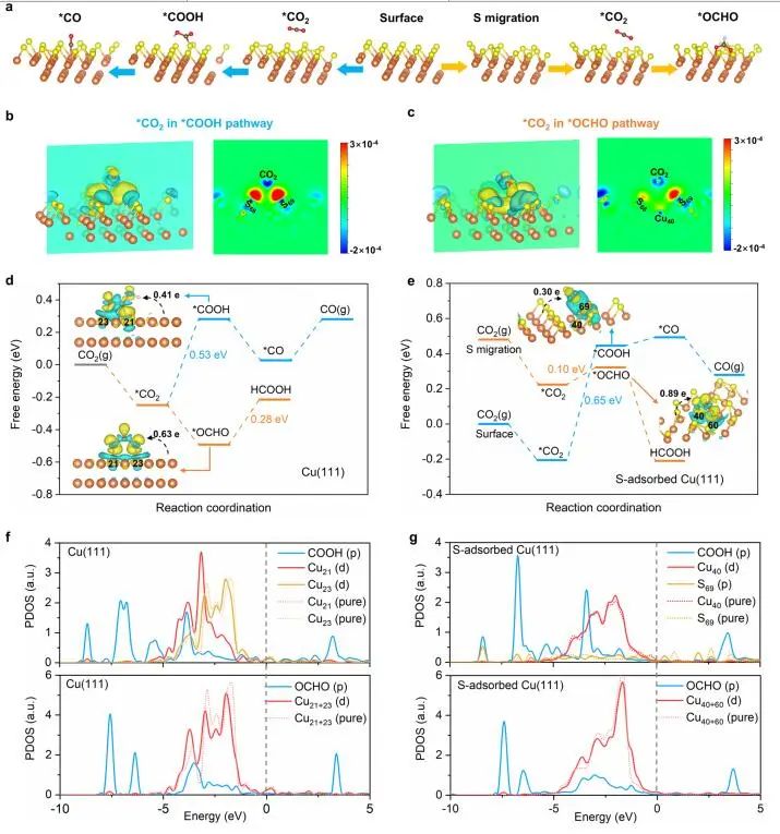 DFT计算与实验结合，8篇顶刊：Nature子刊、Angew. 、JACS、EES、AM、AFM等！