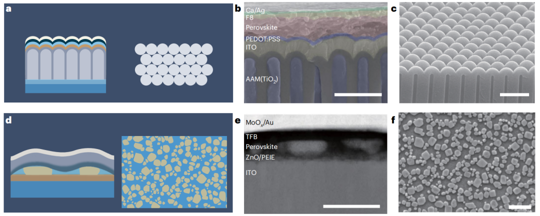 浙大赵保丹/狄大卫重磅Nature Nanotechnology！