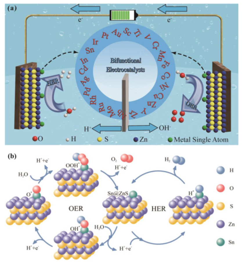 【纯计算】杨应举团队：密度泛函理论计算ZnS稳定的单原子用于高效水电解！