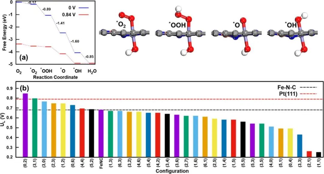 纯计算ACS Catalysis：氧还原反应双金属位催化剂的理论计算研究